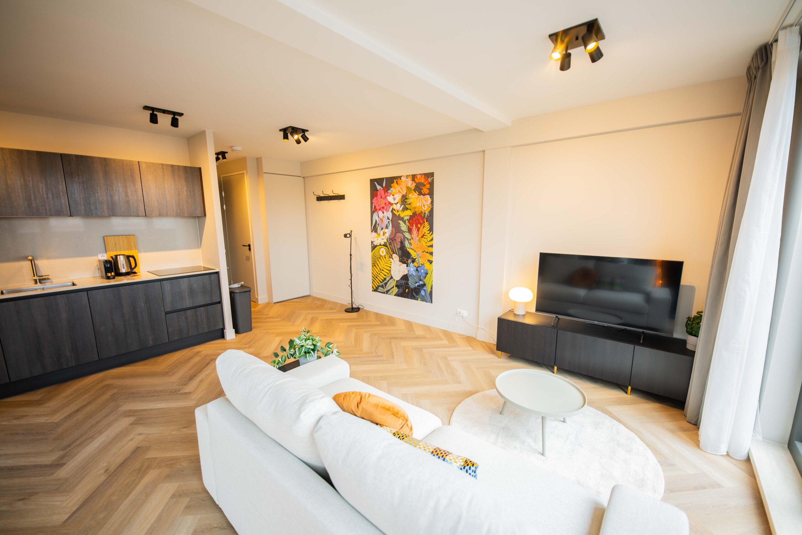 Hilversum Centre Penthouse | City Views, 65 m²., view 4